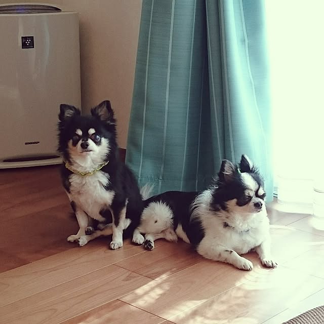 10soraさんの実例写真
