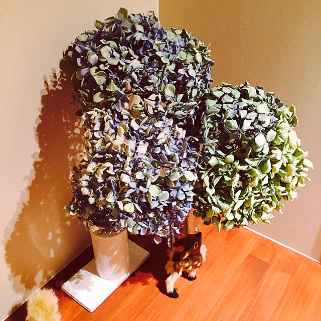 izumic1225さんの実例写真