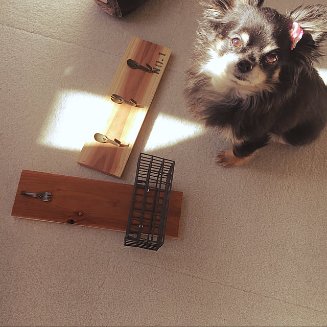cocoさんの実例写真