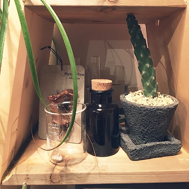 j-boyさんの実例写真