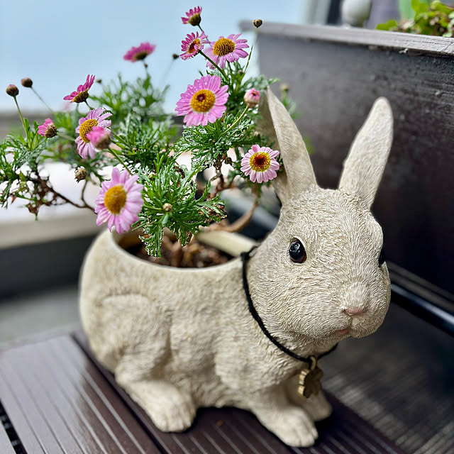 A.Iさんの部屋