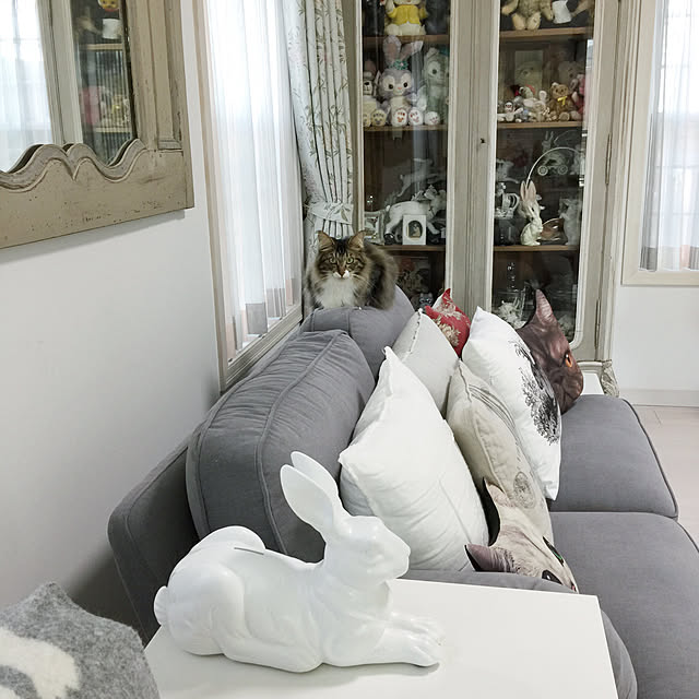 yuchiさんの実例写真