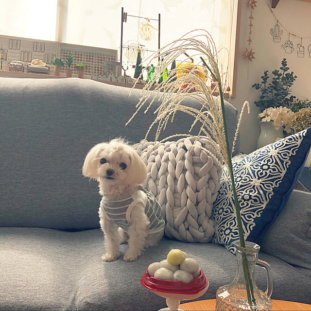 loliontoaliceveさんの実例写真