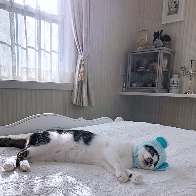yuchiさんの実例写真