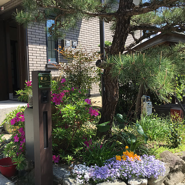 corlarmamaさんの実例写真
