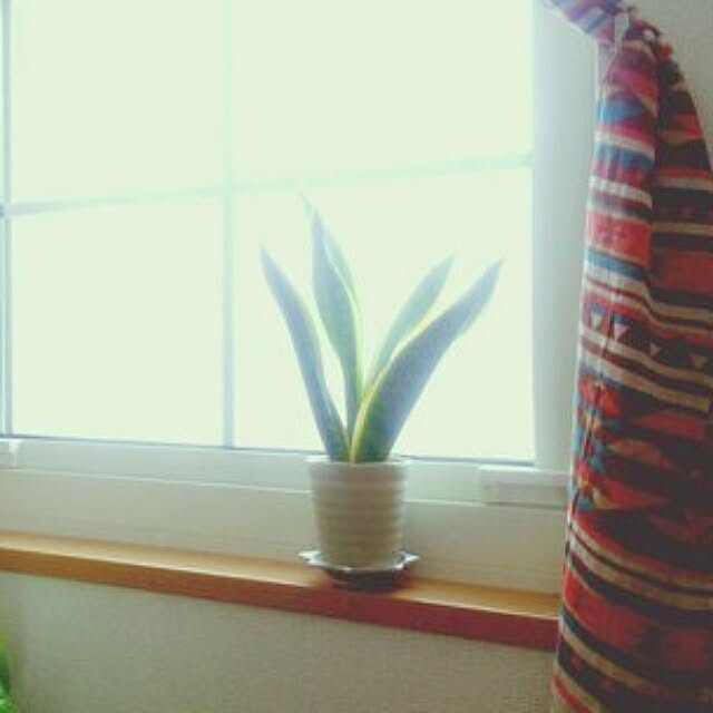 aikoさんの実例写真