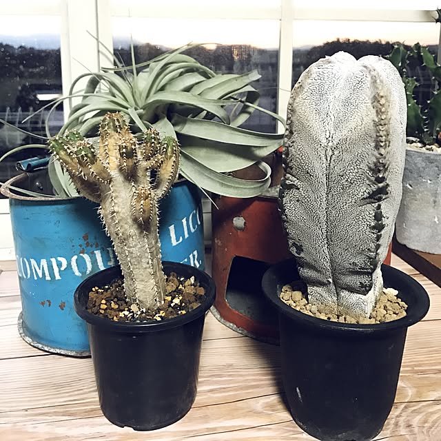 amさんの実例写真