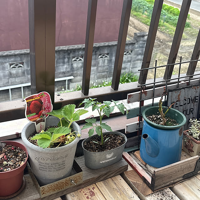 icietlaさんの実例写真