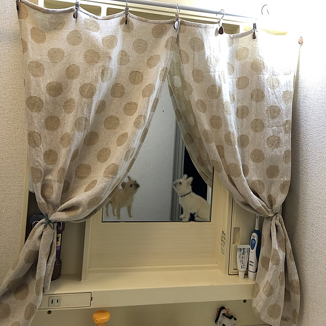 Aoiさんの実例写真