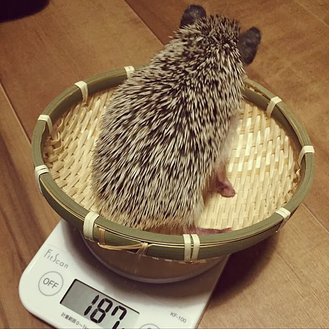 n.k.mさんの実例写真