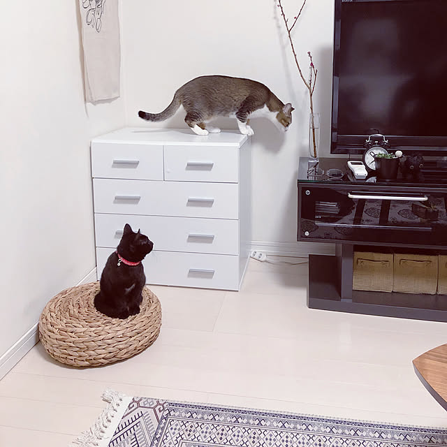 nekomiさんの実例写真