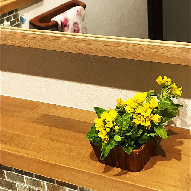 fujikoさんの実例写真