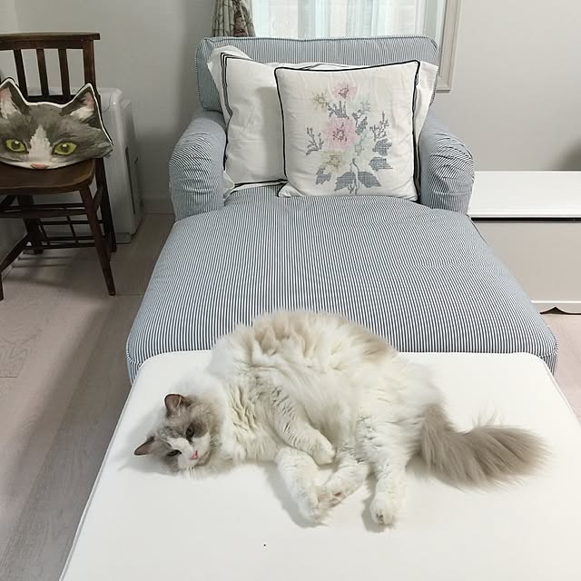yuchiさんの実例写真