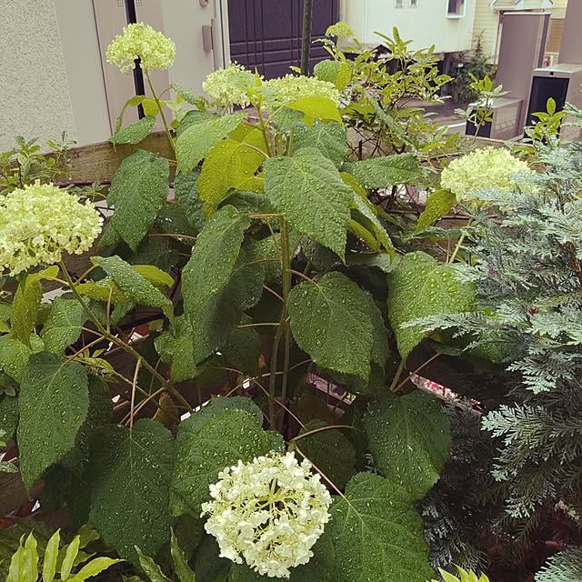 kazuさんの部屋