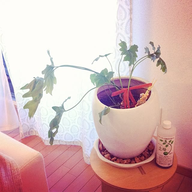 KOTAROさんの実例写真