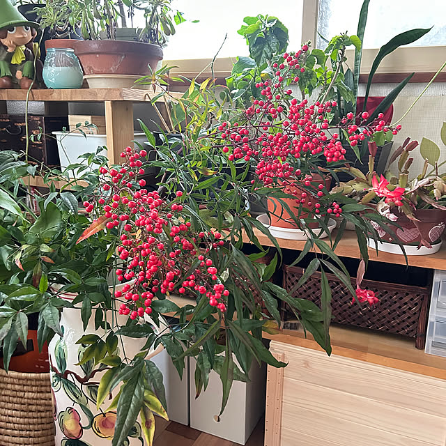 mimura-3さんの実例写真