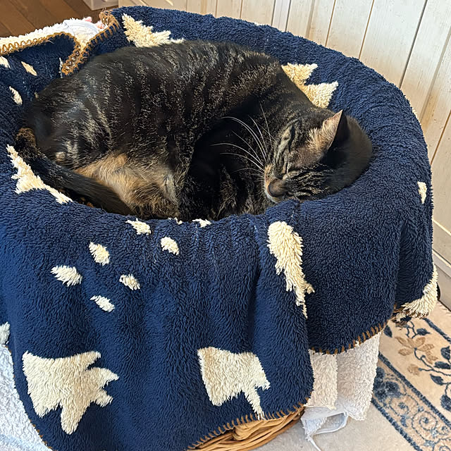 momocchiさんの部屋