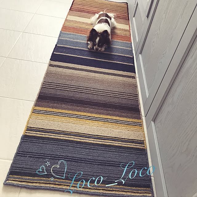 loco_locoさんの実例写真