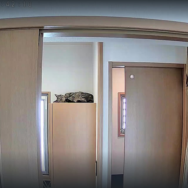 Mさんの実例写真