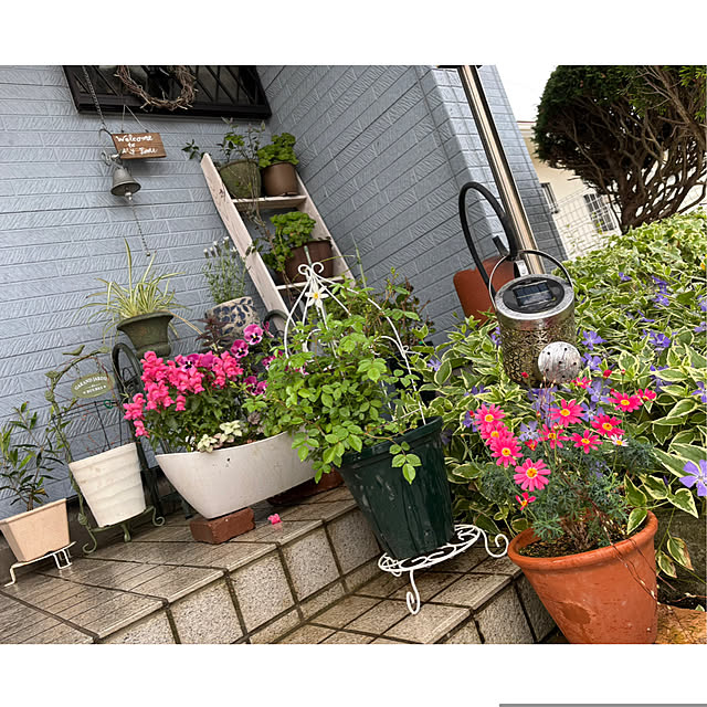 CoCo0617さんの部屋
