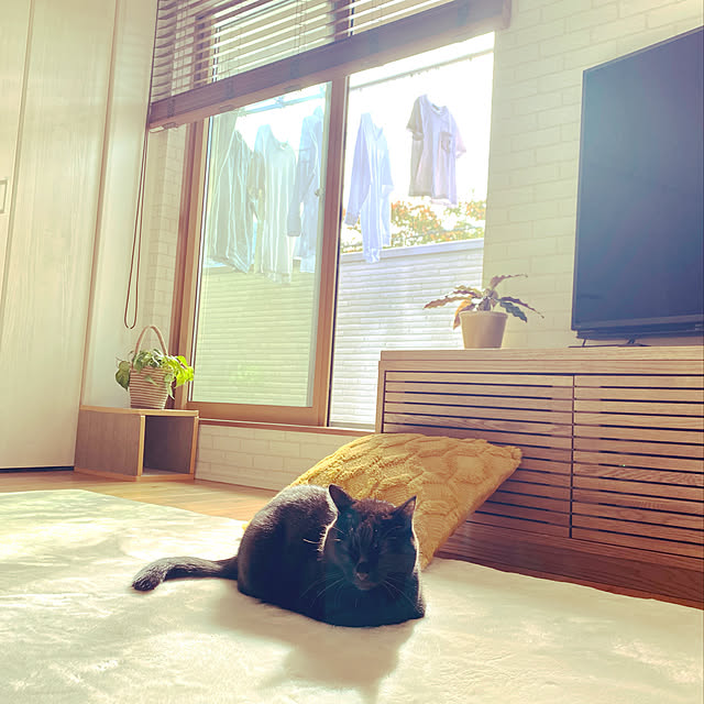 iiiyocoiiiさんの実例写真
