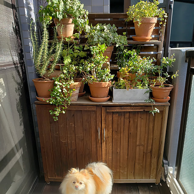 HYさんの実例写真