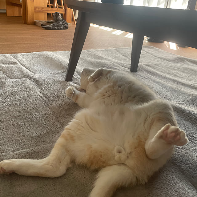 hiyupan88さんの実例写真