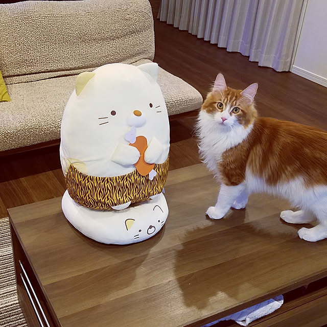 机のインテリア実例 - 2021-05-06 00:27:58
