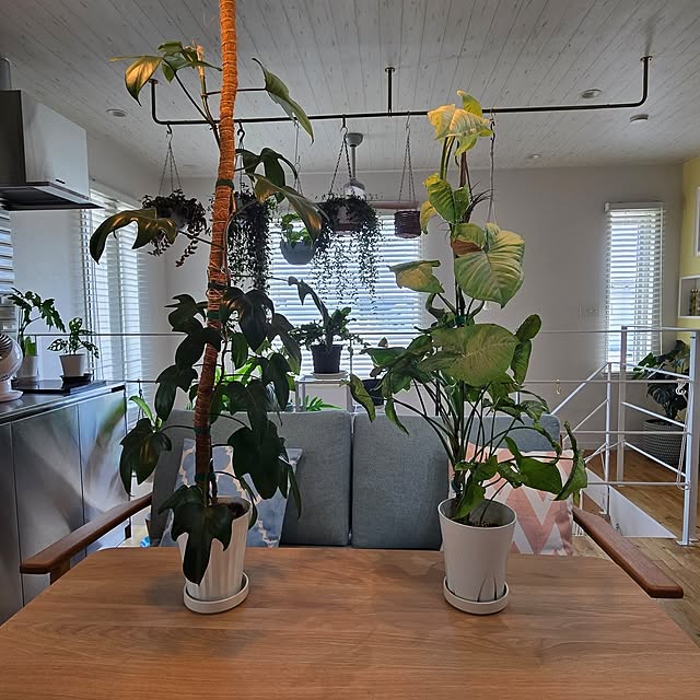 nonbiri_house_さんの部屋