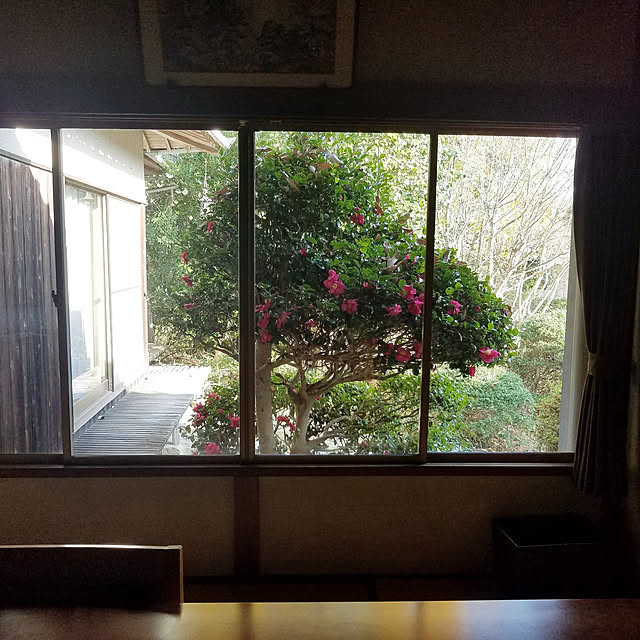 minesako163さんの実例写真