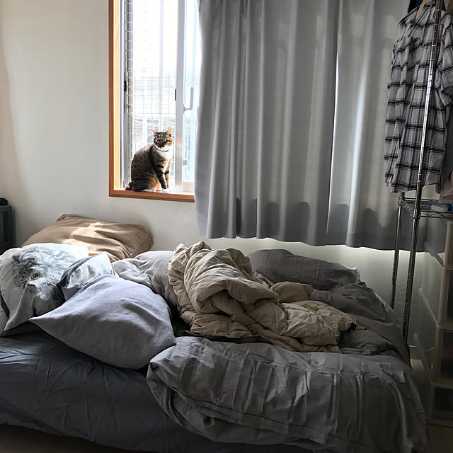 Mikiroさんの実例写真