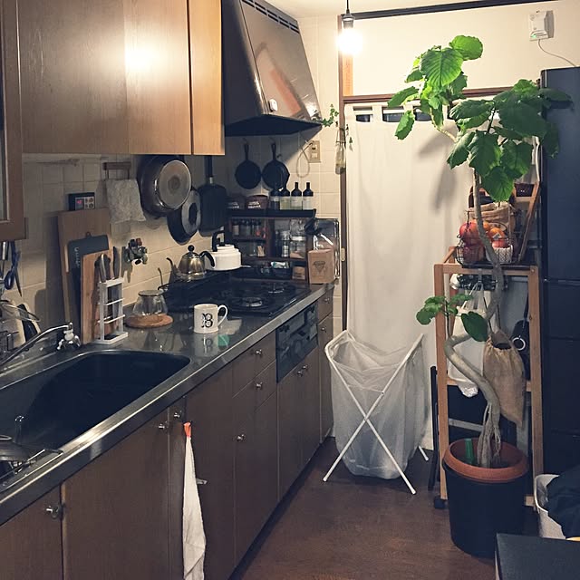 キッチン/セリア/DIY/観葉植物/IKEA...などのインテリア実例 - 2016-01-04 20:39:12