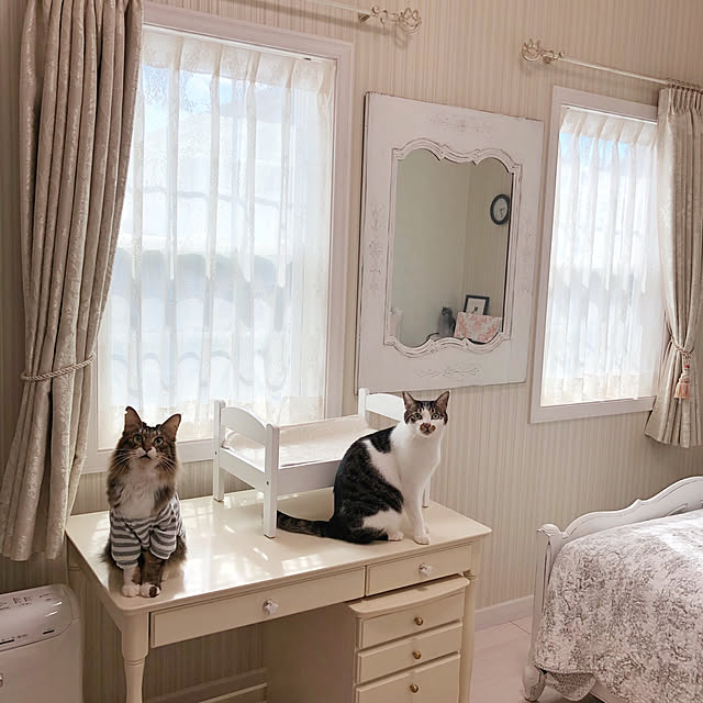 yuchiさんの実例写真