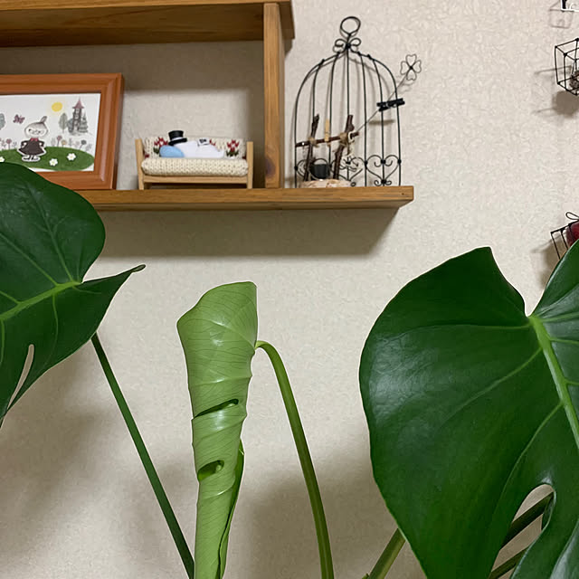 JUNさんの部屋