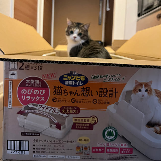 odashiさんの実例写真