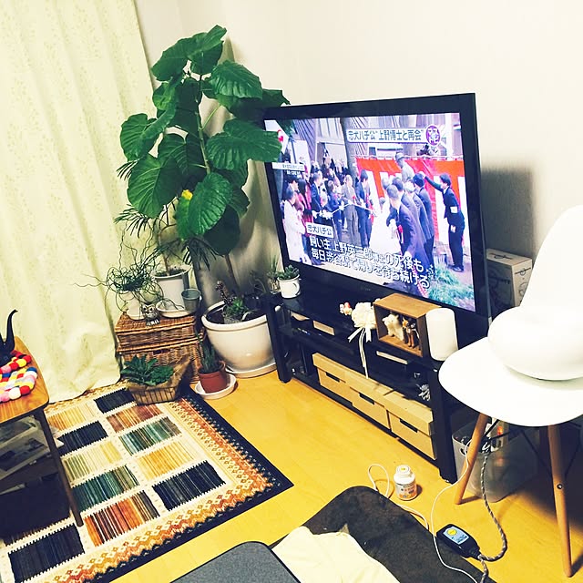 ku-さんの実例写真