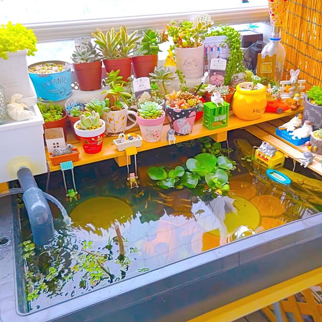 mariaさんの部屋