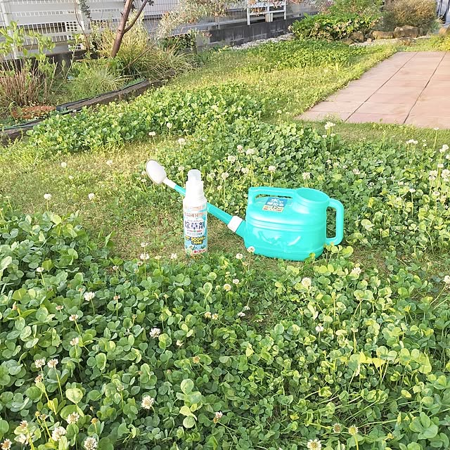 feuileさんの部屋
