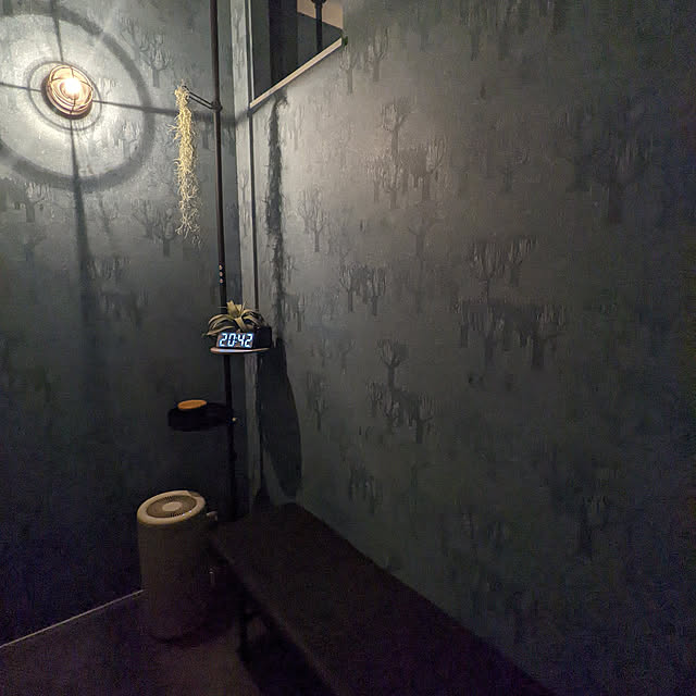 Ameさんの実例写真
