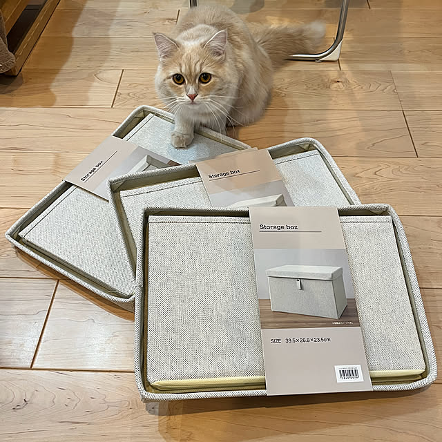 kさんの部屋