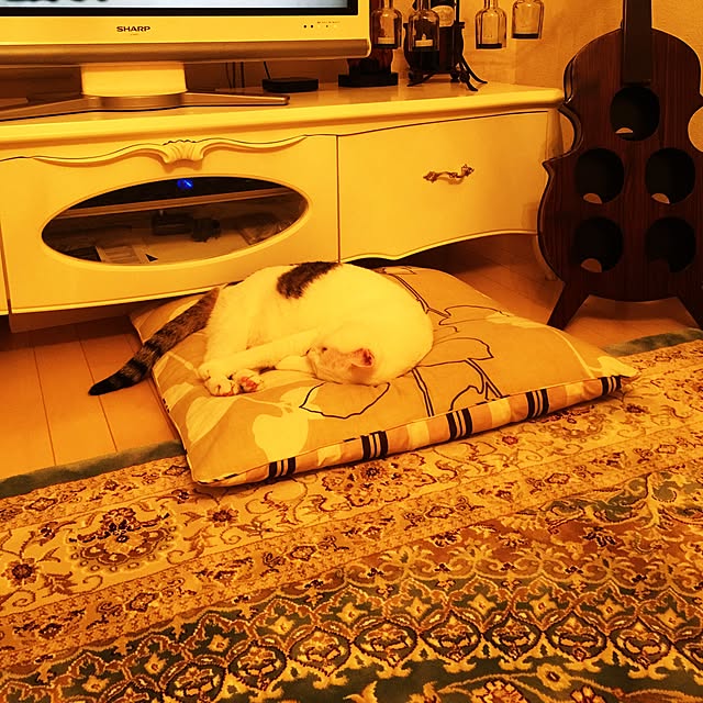 coedodecoさんの実例写真