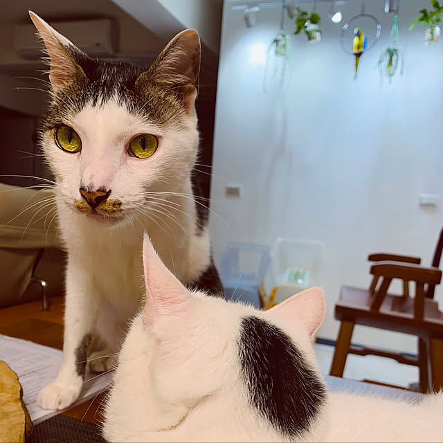 pcu110さんの実例写真