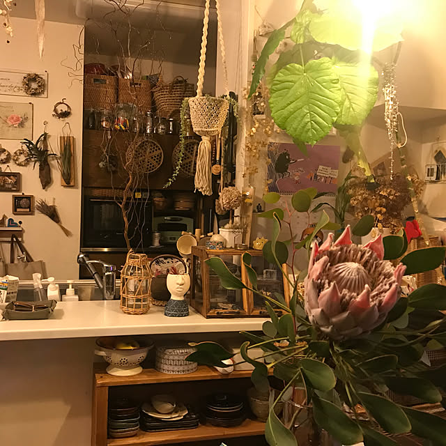 goushi1214さんの実例写真