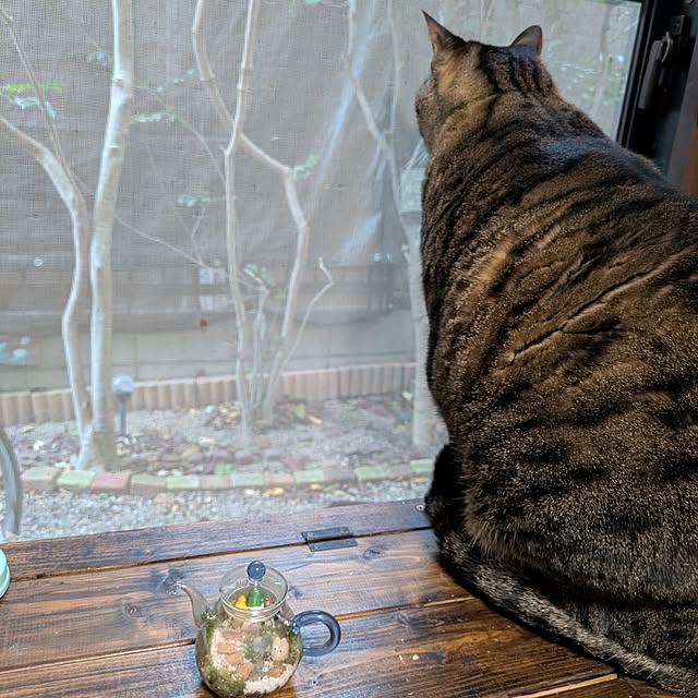 mori_6_12さんの部屋