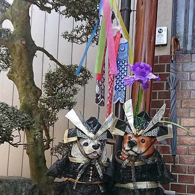 NOAHさんの実例写真