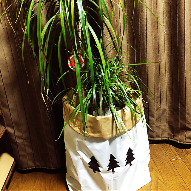 tamaさんの実例写真