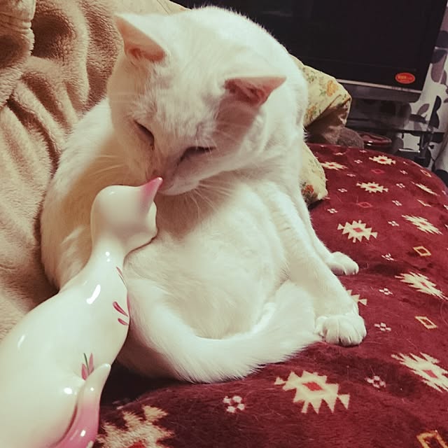 Kaoruさんの実例写真