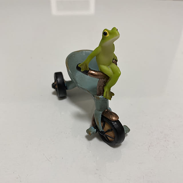 omochixomochiさんの実例写真