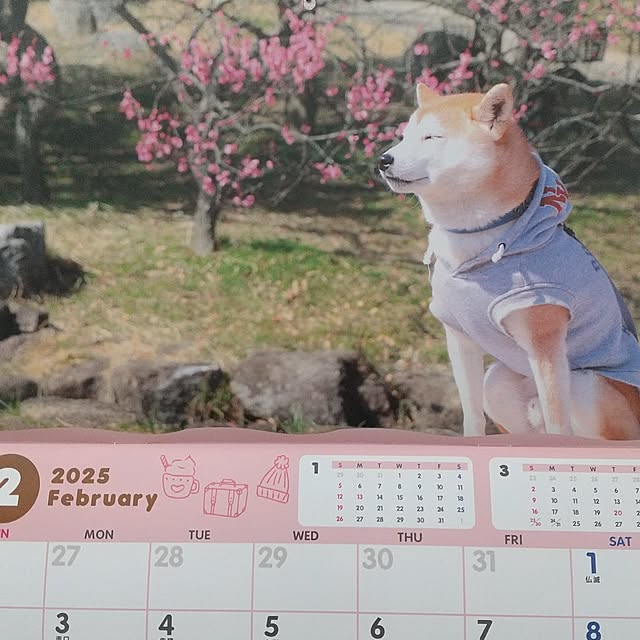 Rさんの部屋