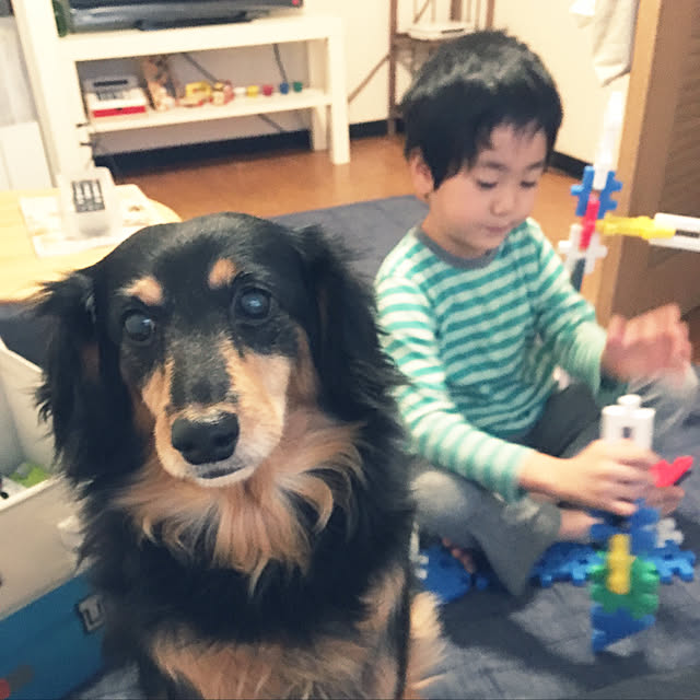 ohanaさんの実例写真